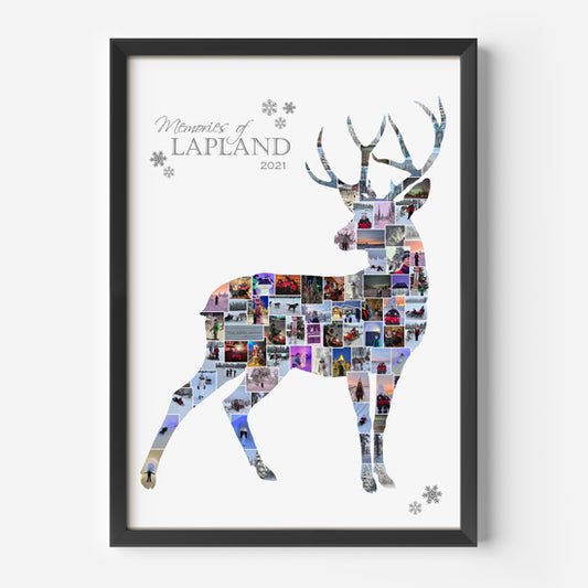 Lapland stag collage