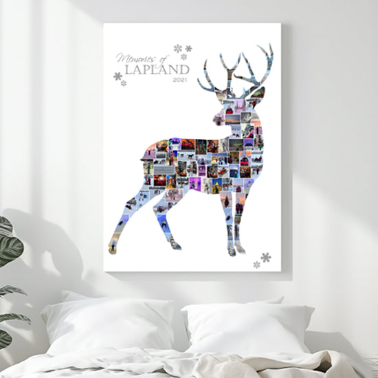 Lapland stag collage