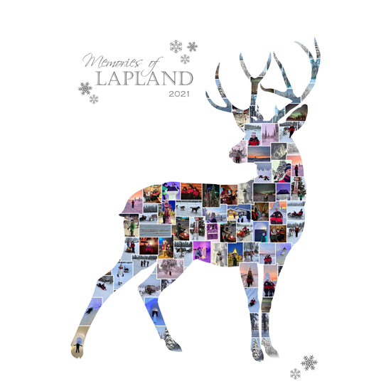 Lapland stag collage