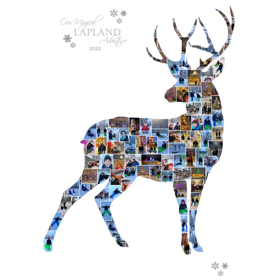 Lapland stag collage