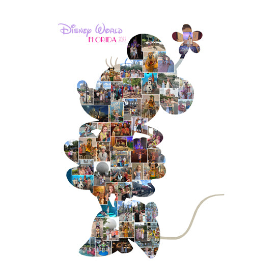 Minnie Florida photo collage