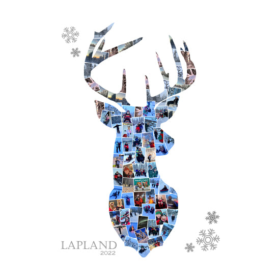 Stag head Lapland collage