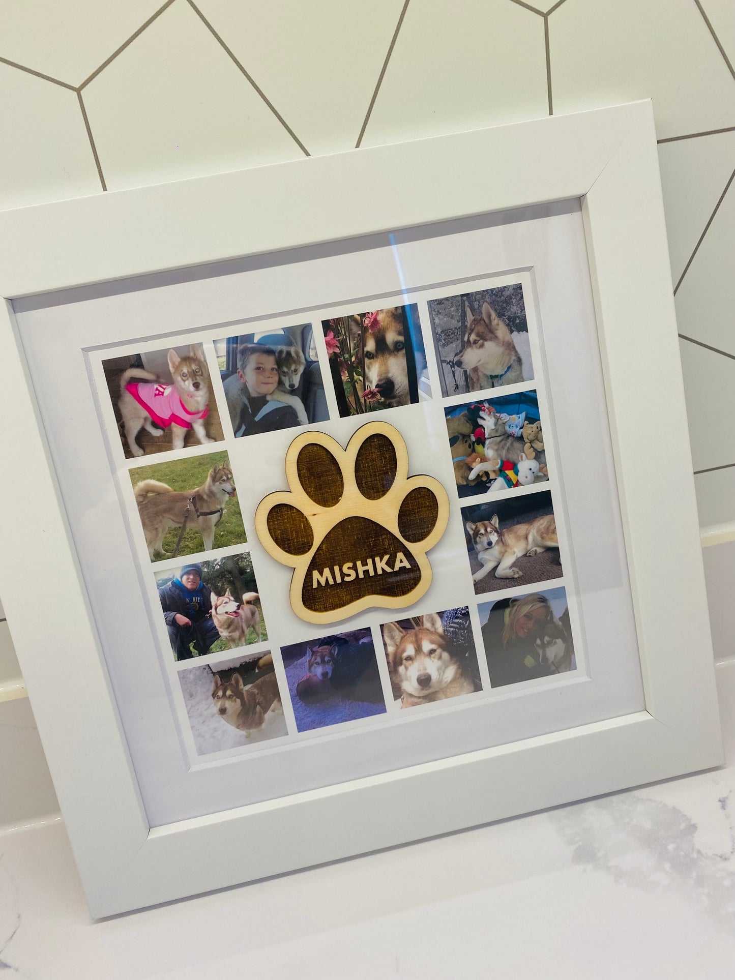 Paw Plaque Collage