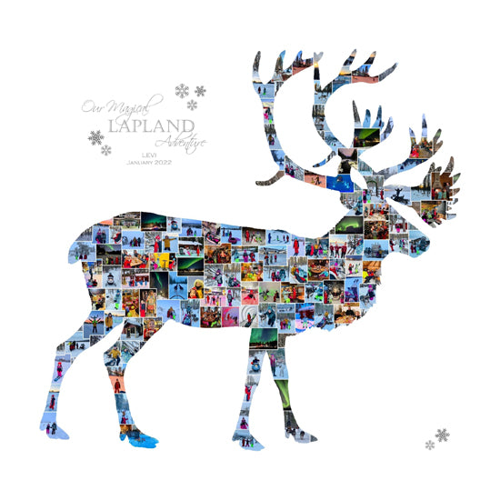 Reindeer Lapland Collage