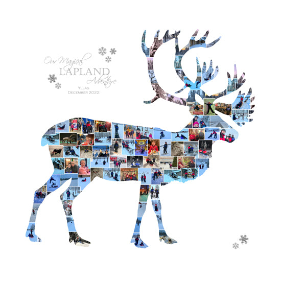 Reindeer Lapland Collage