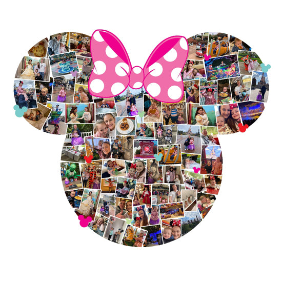 Minnie head Florida Collage