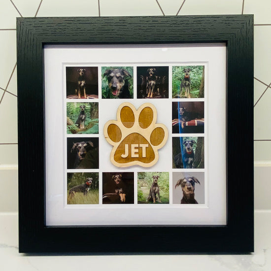 Paw print pet collage