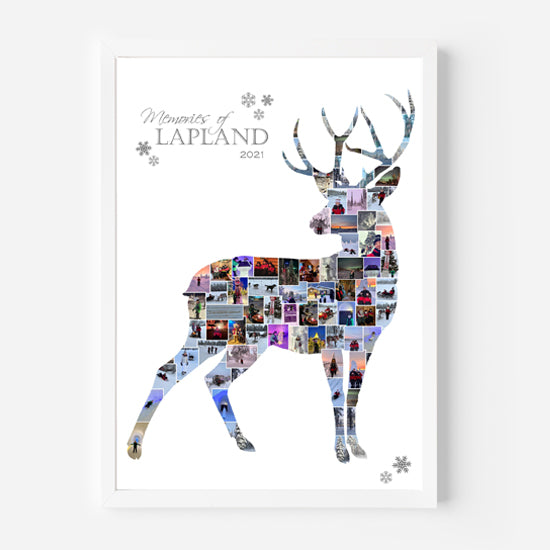 Lapland stag collage