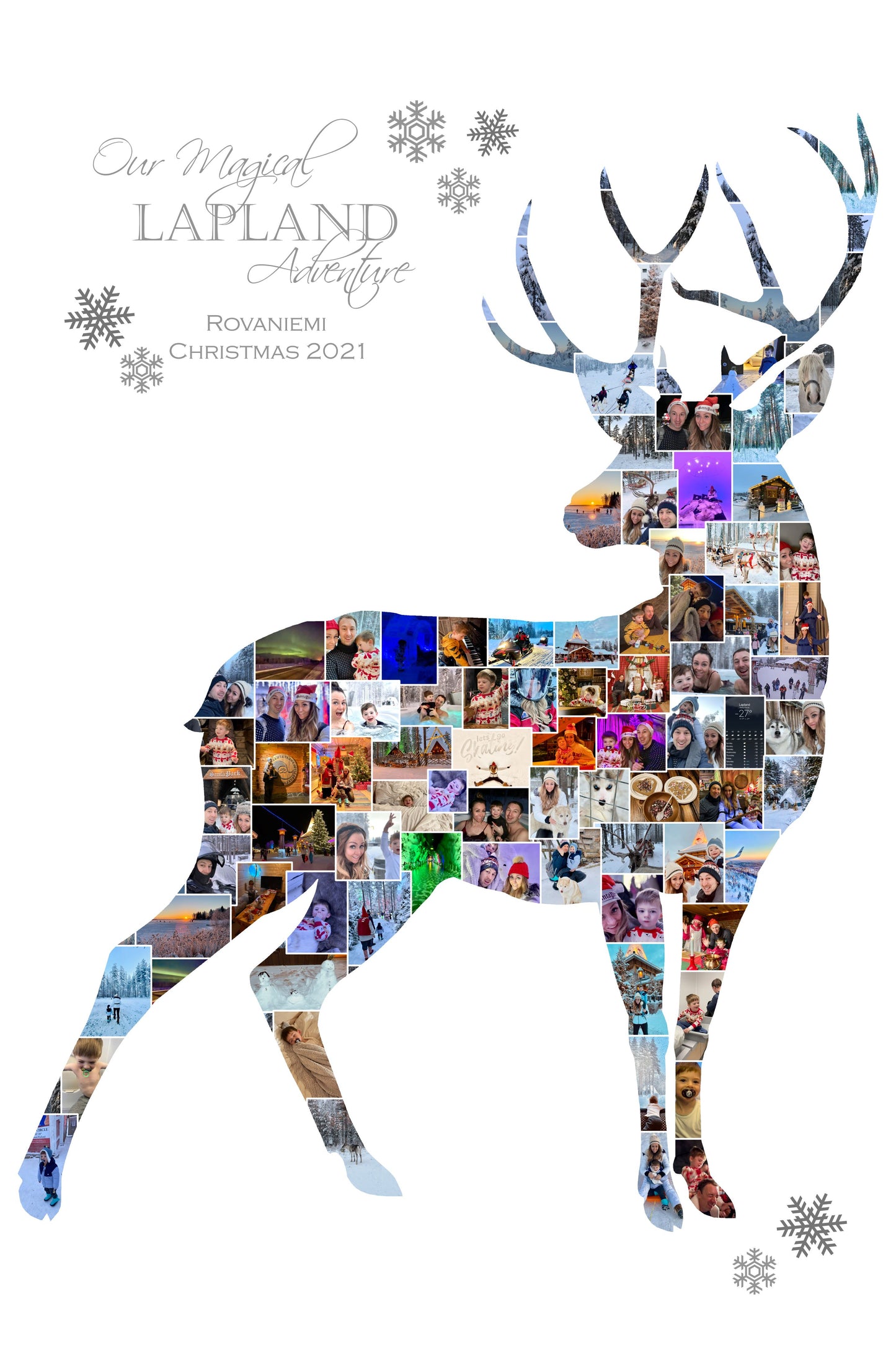 Stag Collage