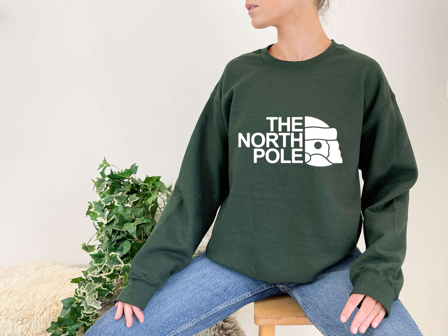 North Pole Jumper