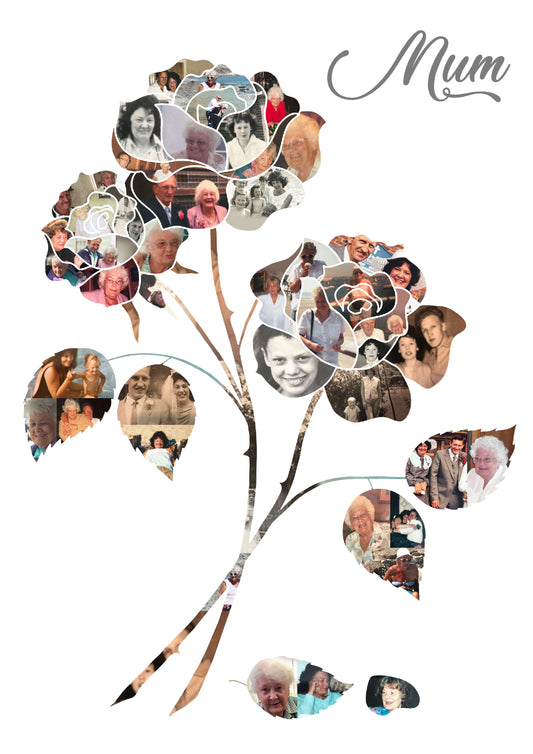 Rose flower Collage