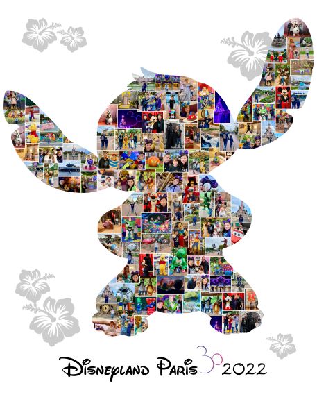 Ohana Collage