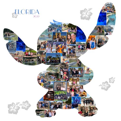 Ohana Collage