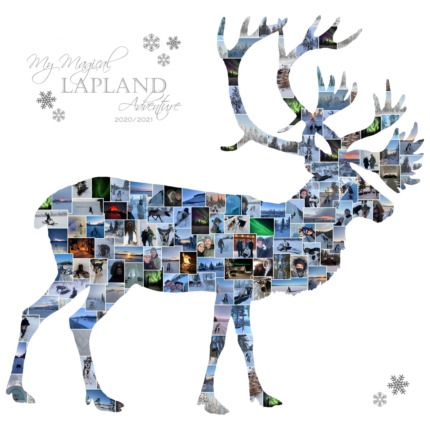 Reindeer Collage