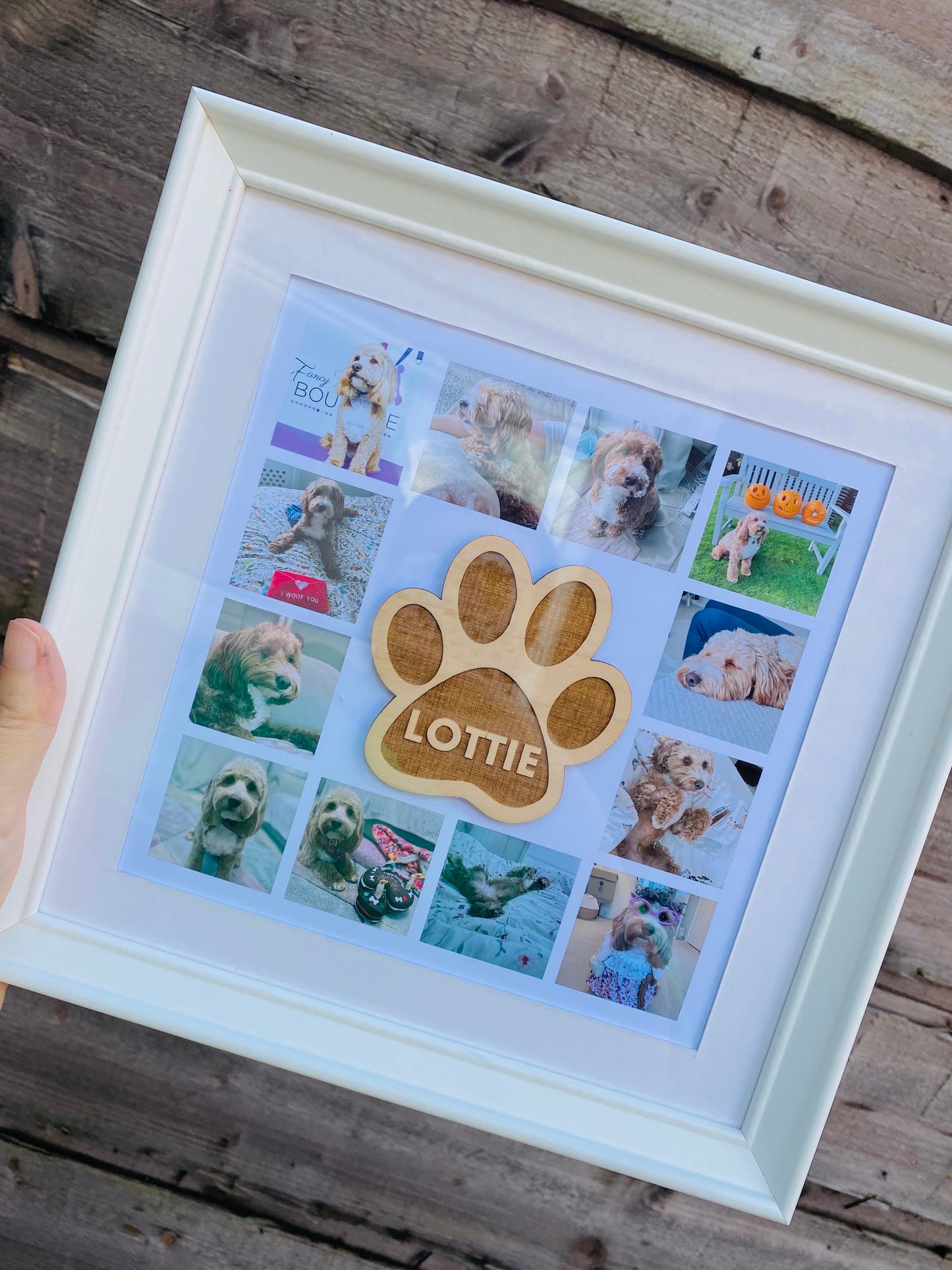 Paw Plaque Collage