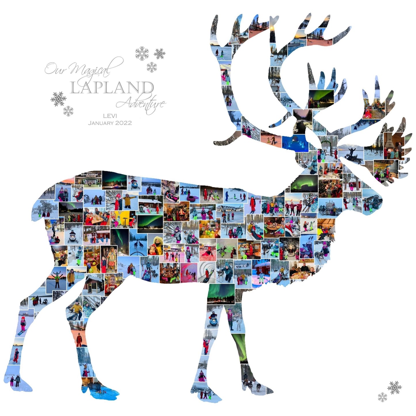 Reindeer Collage