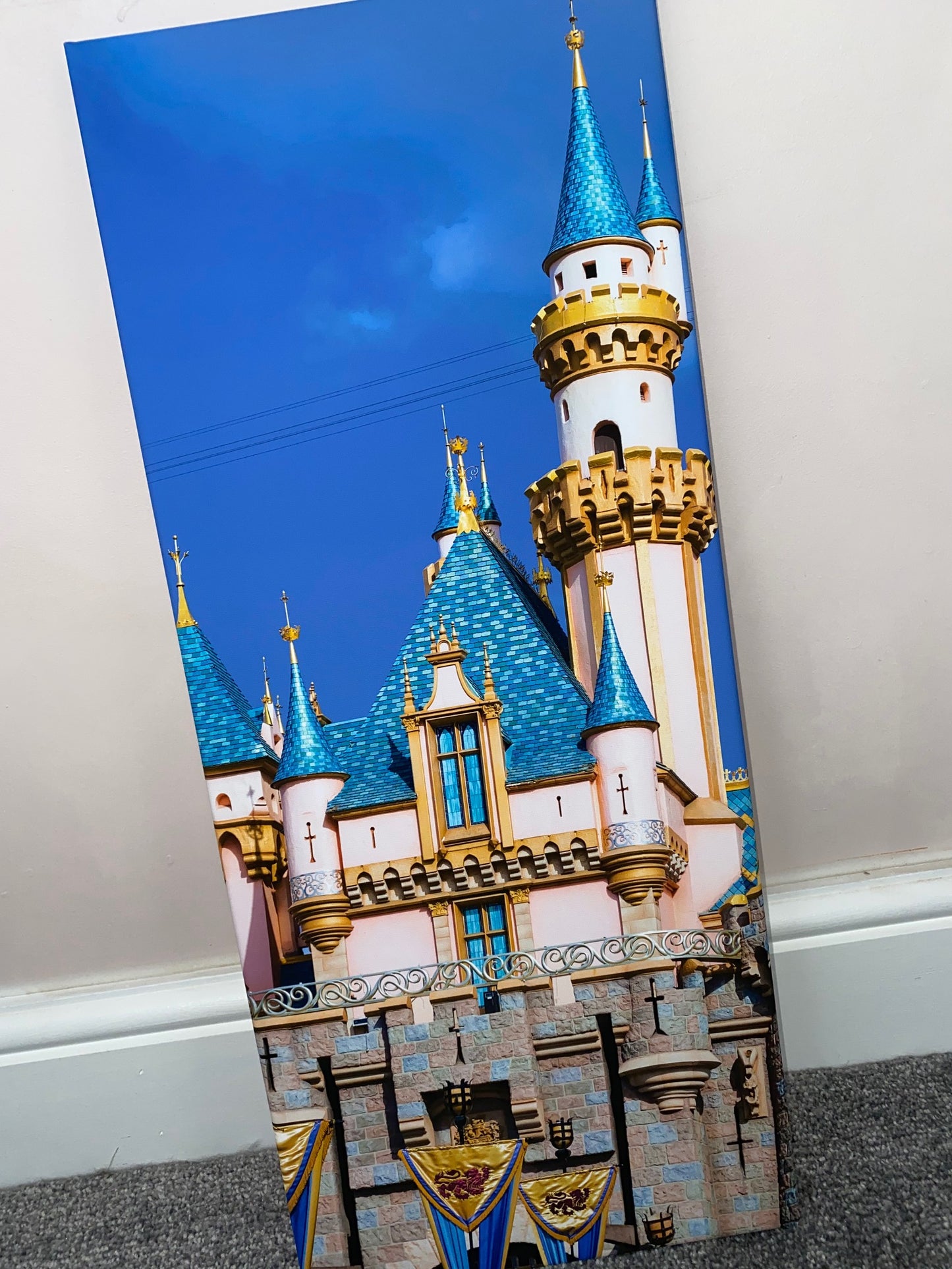 Castles Canvas Prints